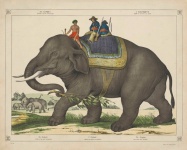 Indisk elefant vintagekonst