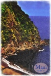 Maui reis ansichtkaart poster