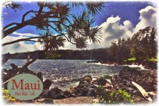 Maui Travel Postcard Poster
