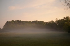 Mist over field