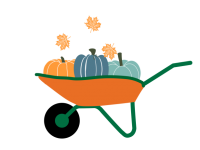 Pumpkins in a Wheelbarrow