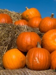Pumpkins on a hay bale