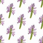 Purple Flowers Pattern Background