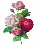 Pintura em aquarela de buquê de rosas