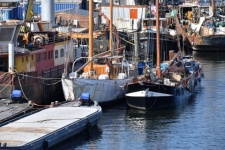 Segelboote im niederländischen Hafen