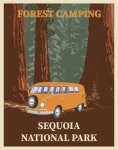 Sequoia-Park-Reise-Plakat