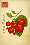 Strawberry Vintage French Postcard