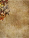 Papel de mariposa vintage