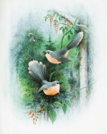 Ilustrație vintage păsări flori