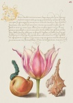 Vintage Kunst Kalligrafie Blumen