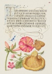 Fleurs de calligraphie d'art vintage