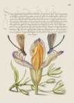 Vintage konst kalligrafi blommor