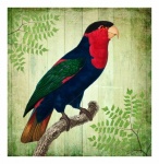 Vintage tropisk fågel papegoja