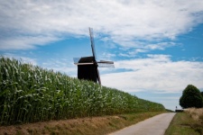 Windmill, Corn Field, Landscape