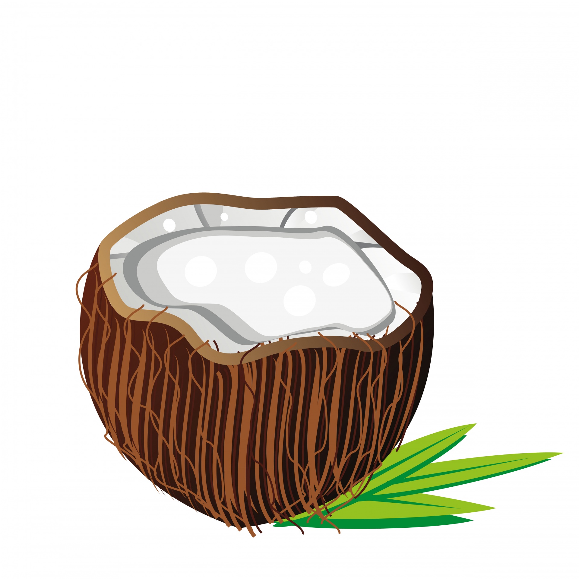Kokosnuss Kostenloses Stock Bild Public Domain Pictures
