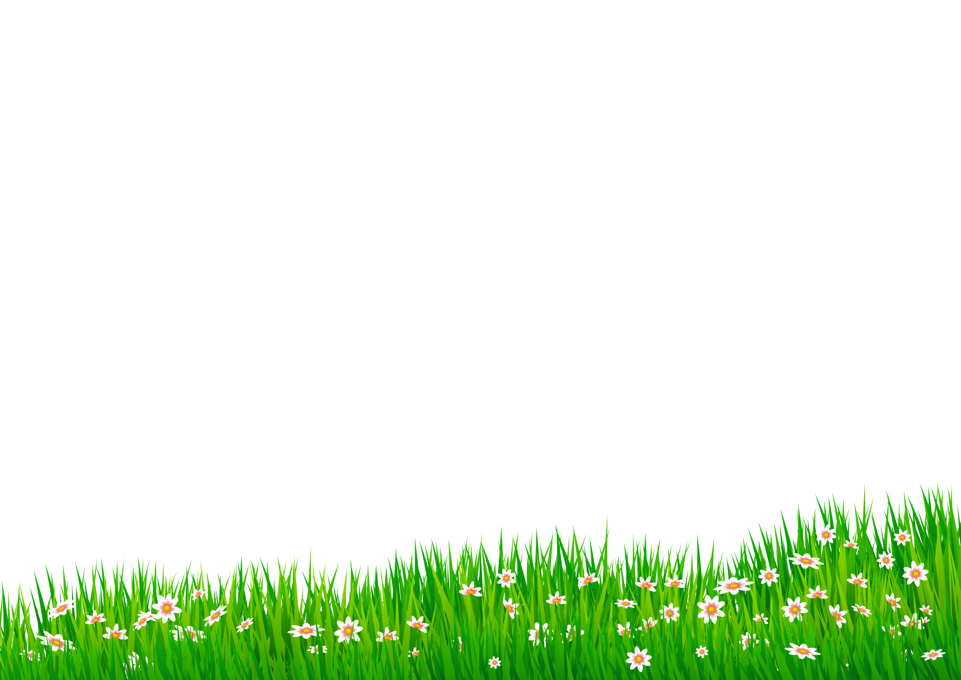 Grass Flowers Daisies Background Free Stock Photo - Public Domain Pictures