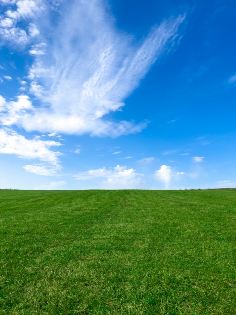 Green Field With Blue Sky Free Stock Photo - Public Domain Pictures