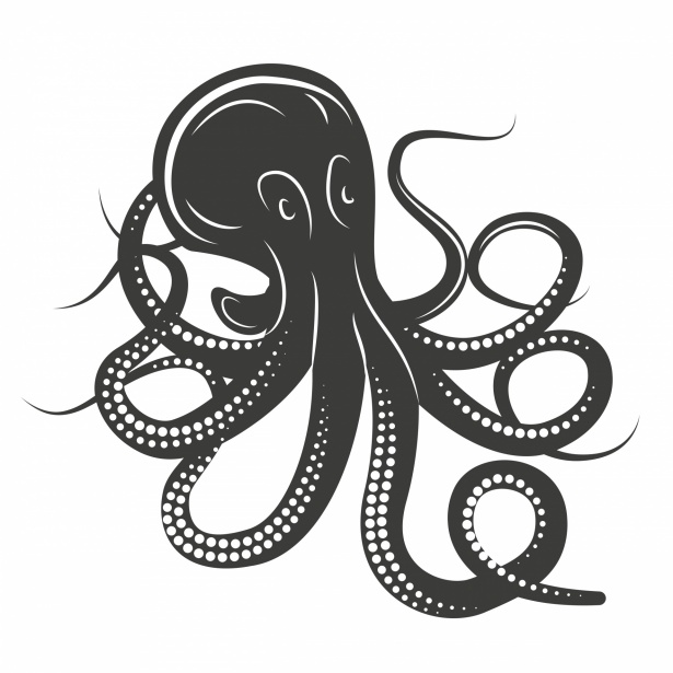 Octopus depiction