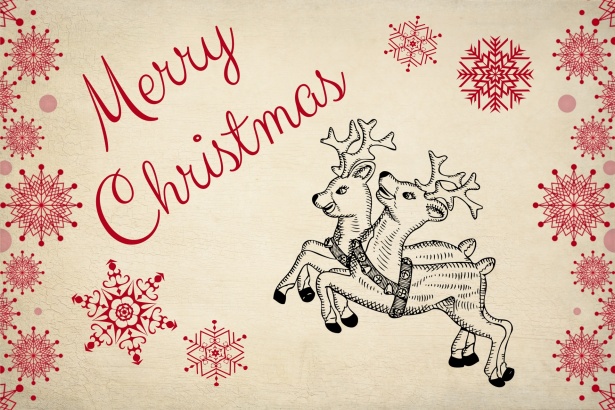 Reindeer Christmas Card Free Stock Photo - Public Domain Pictures