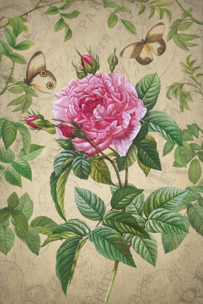 Vintage Floral Illustration Art Free Stock Photo - Public Domain Pictures
