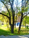 Autumn landscape in Smolensk park