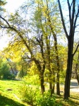 Őszi táj a szmolenszki parkban