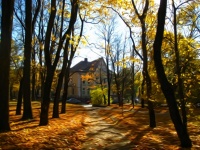 Autumn Landscape In Smolensk