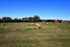 Bales of Hay Background