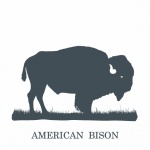 Clipart della siluetta del bisonte