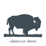 Clipart della siluetta del bisonte