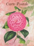 Ilustração de arte vintage de flores