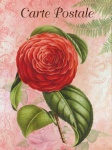 Ilustração de arte vintage de flores