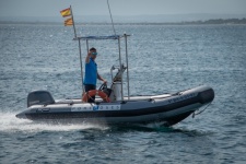 Boat, Dinghy, Speedboat, Sea
