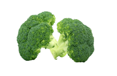 Broccoli Legume Legume Clipart