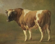 Pintura de arte vintage de touro
