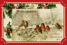 Christmas Birds Vintage Card