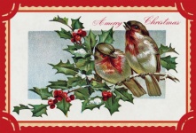 Tarjeta vintage de pájaros de Navidad