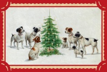 Christmas Dogs Vintage Card