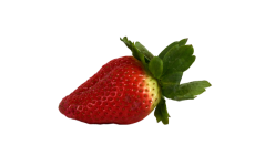 Fructe de căpșuni