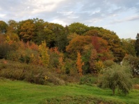 Colina de paisagem de outono outono