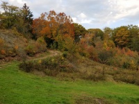 秋の風景の坂道