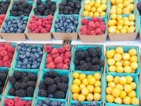 Bauernmarkt für frisches Obst
