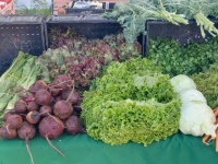 Verdure fresche al mercato