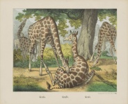 Arte de la vendimia de la jirafa