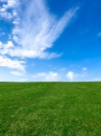 Grönt fält med blå himmel