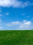 Green field with blue sky