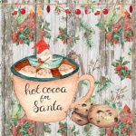Cacao e biscotti per Babbo Natale