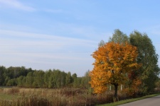 Herbstliche Landschaft