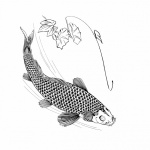 Clipart de peixe carpa Koi