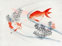 Art Watercolor Painting Fish